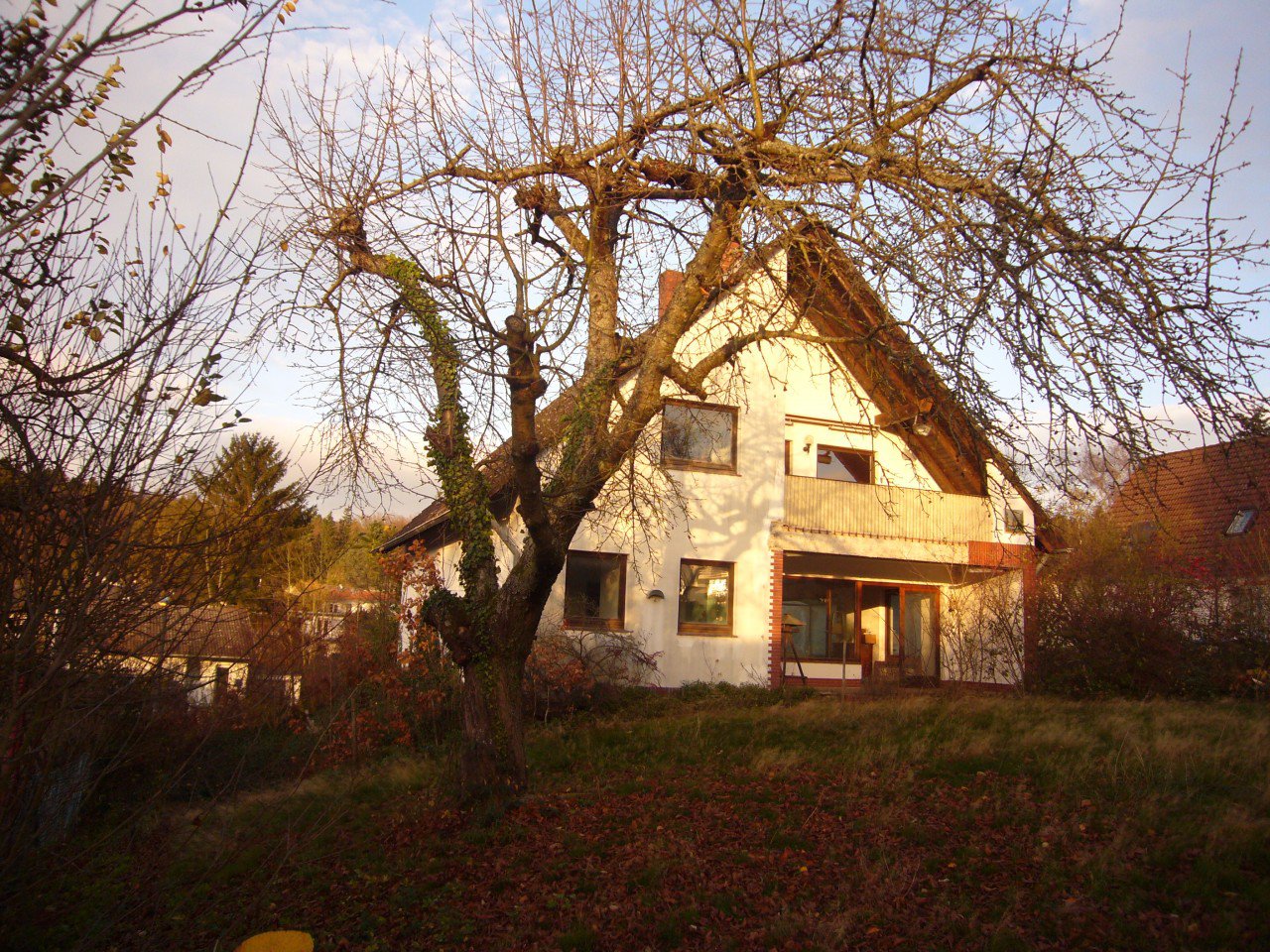 Foto Einfamilienhaus in Waldesch