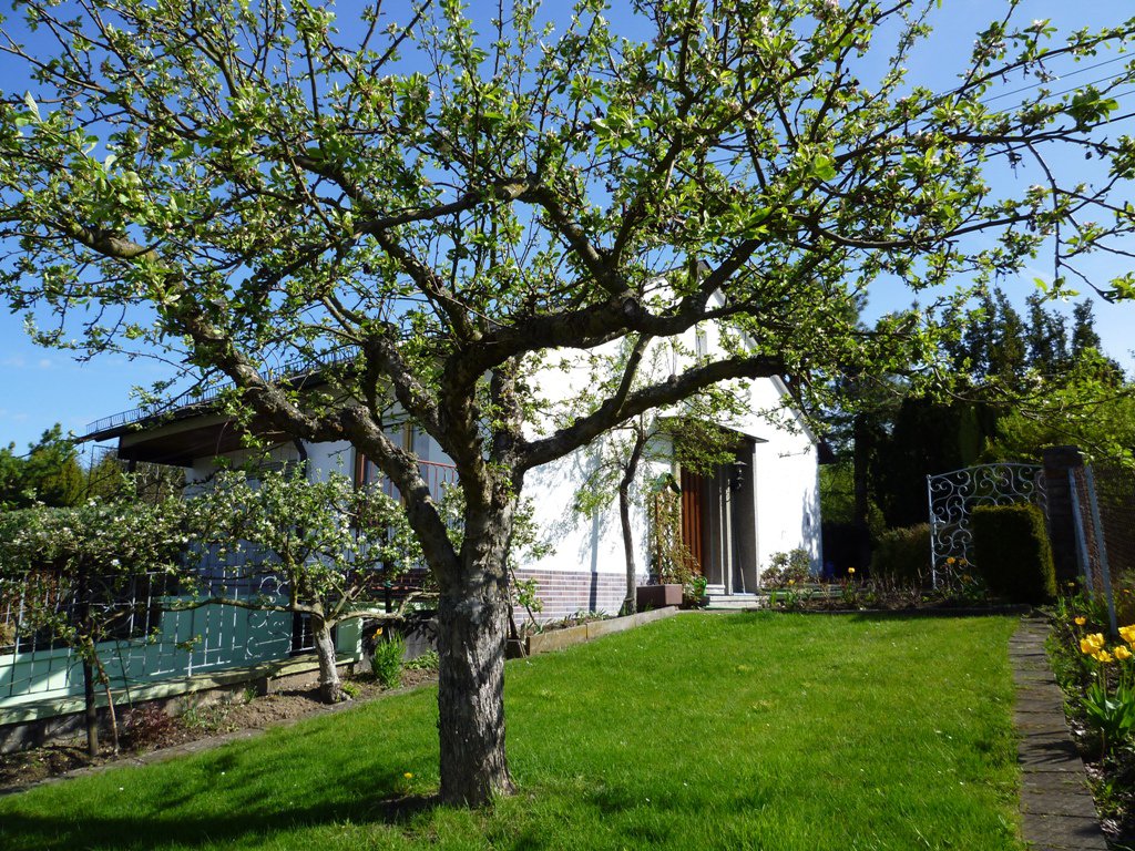 Foto Einfamilienhaus in Waldesch