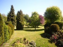 P1240277 Exklusives Einfamilienhaus mit gro�em Grundst�ck in Koblenz-Arenberg