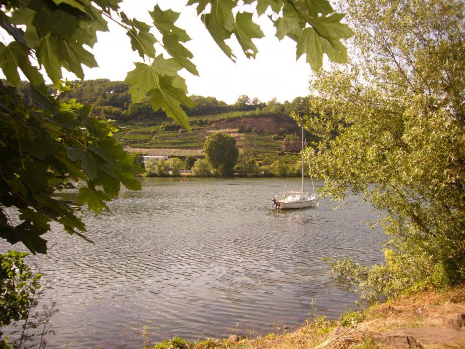 005 Umgebung1 Etagenwohnung Koblenz