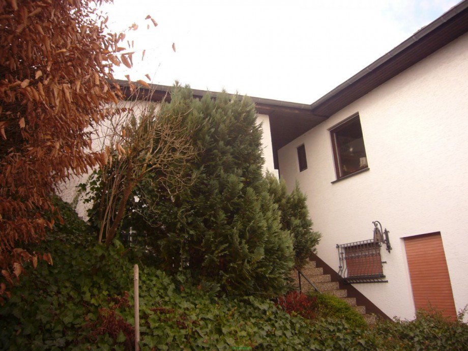 068 Seitenansicht Eingang ELW Einfamilienhaus Rhens