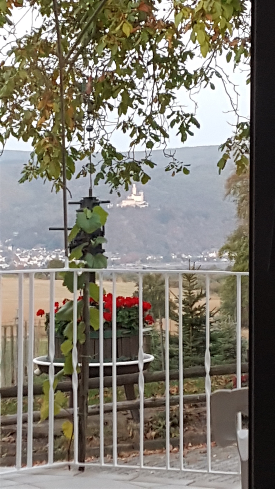 10 Einfamilienhaus Rhens