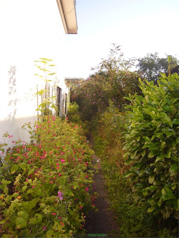 Garten1 Einfamilienhaus Neuwied