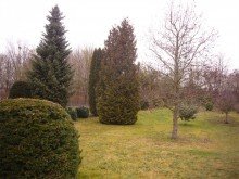 P1240925 Exklusives Einfamilienhaus mit gro�em Grundst�ck in Koblenz-Arenberg