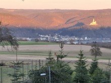 05 Landwirtschaftlicher Betrieb mit 2 Wohnh�usern und vielen M�glichkeiten in Rhens