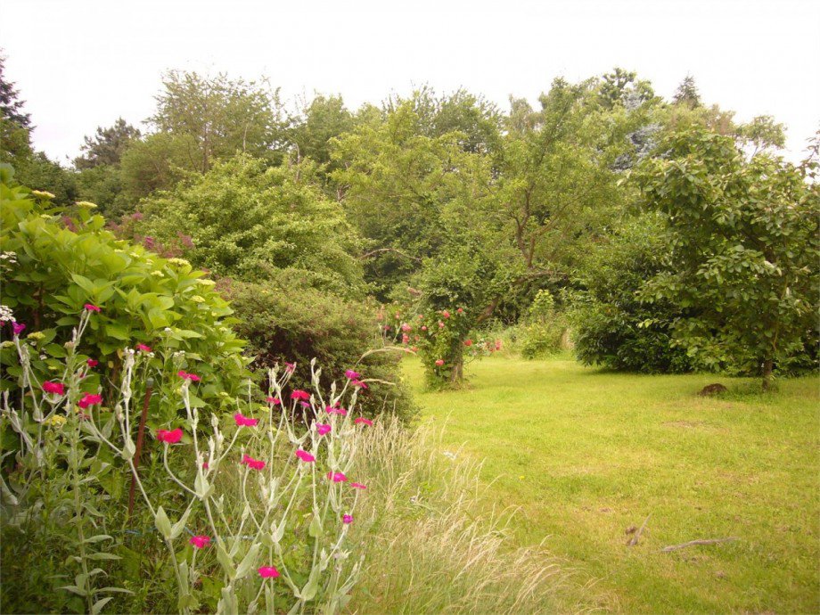 Garten3 Einfamilienhaus Hillscheid