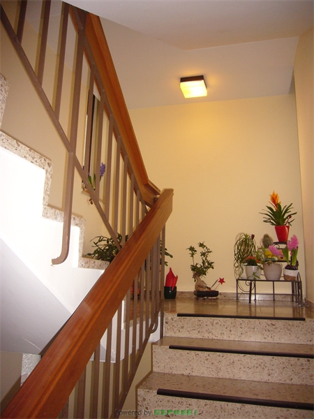 P1240187 Treppenhaus Wohnanlagen Koblenz