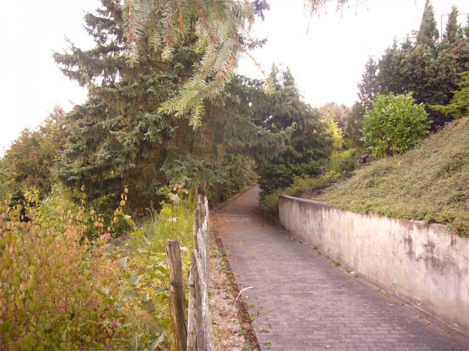 013 Garten2 Einfamilienhaus Lahnstein