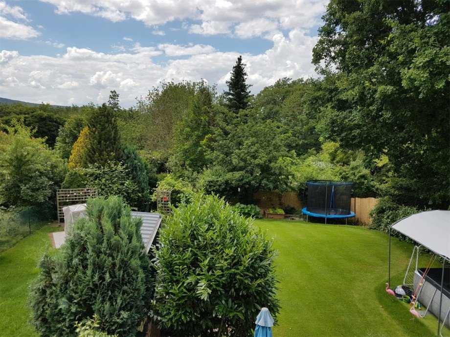 Garten vom Balkon im Sommer 2 Einfamilienhaus Koblenz