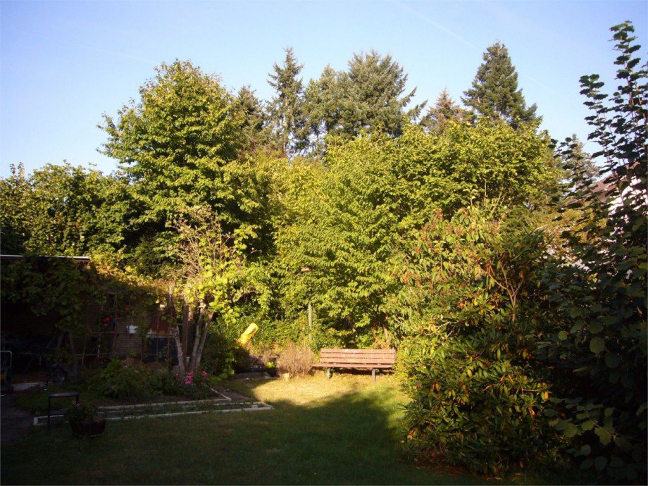 073 Garten1 Mehrfamilienhaus Waldesch