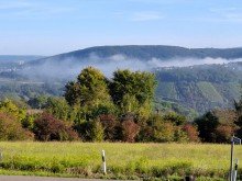 06 Landwirtschaftlicher Betrieb mit 2 Wohnh�usern und vielen M�glichkeiten in Rhens