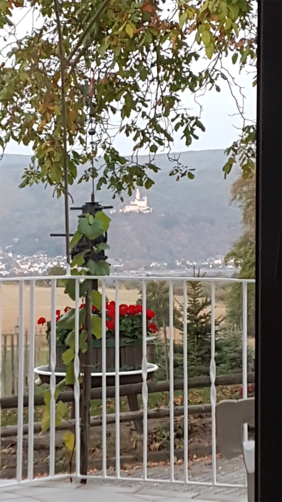 10 Einfamilienhaus Rhens