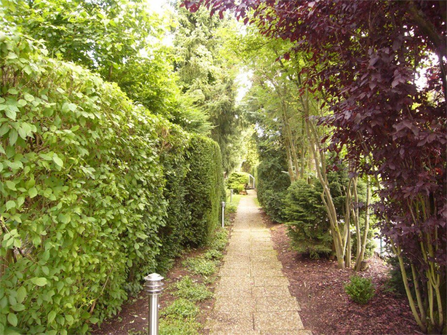 001 Zuweg zum Haus Einfamilienhaus Koblenz