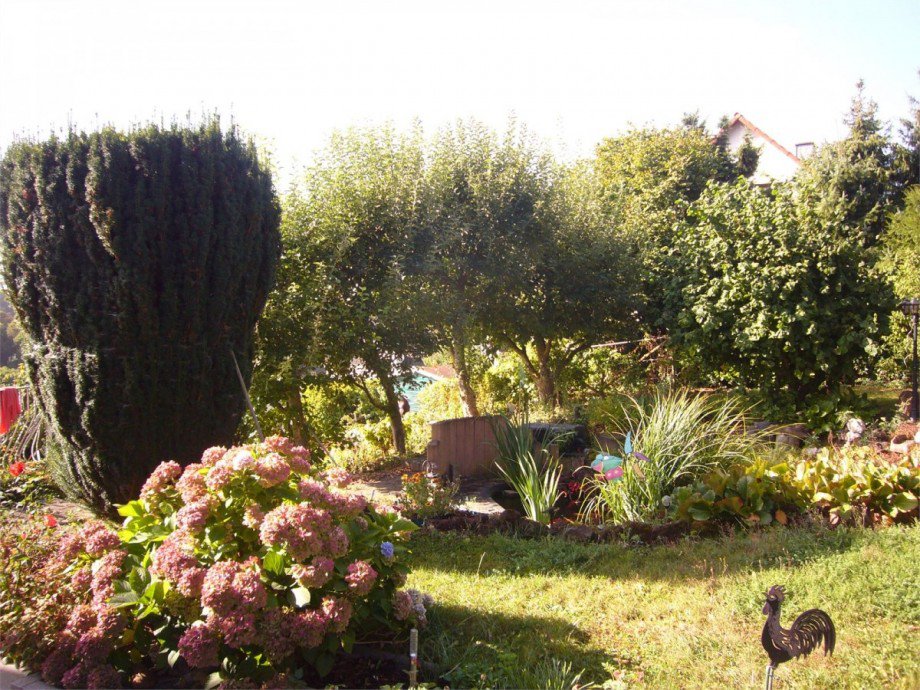 012 Garten1 Einfamilienhaus Lonnig