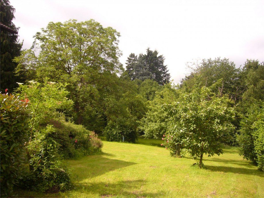 Garten2 Einfamilienhaus Hillscheid