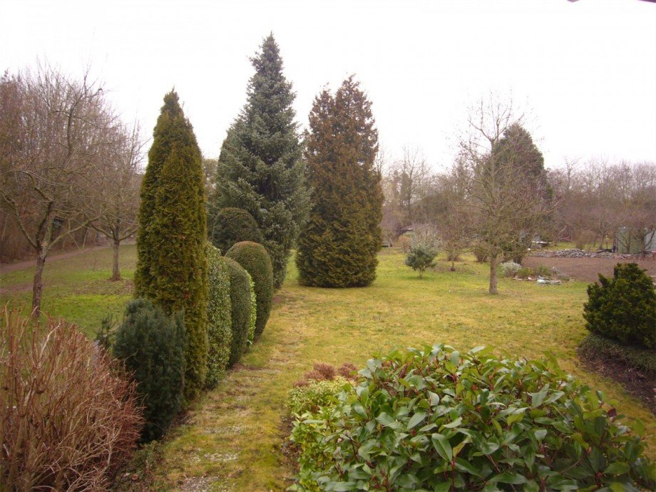 P1240934 Einfamilienhaus Koblenz