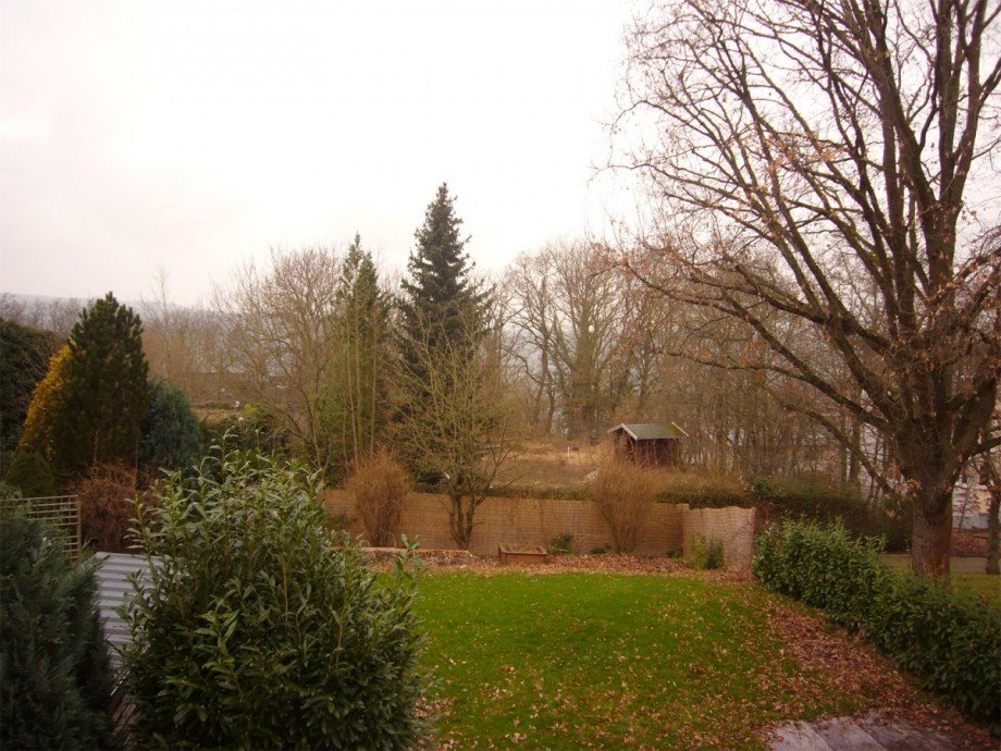 Garten im Winter 4 Einfamilienhaus Koblenz