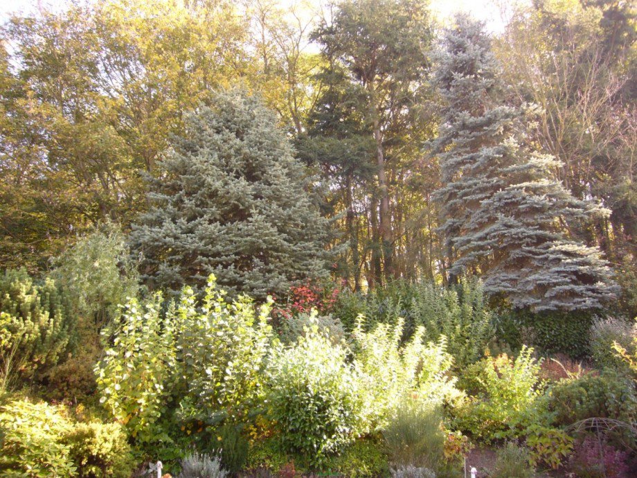 P1240025 Garten2 Einfamilienhaus Bassenheim