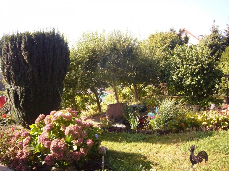 012 Garten1 Einfamilienhaus Lonnig