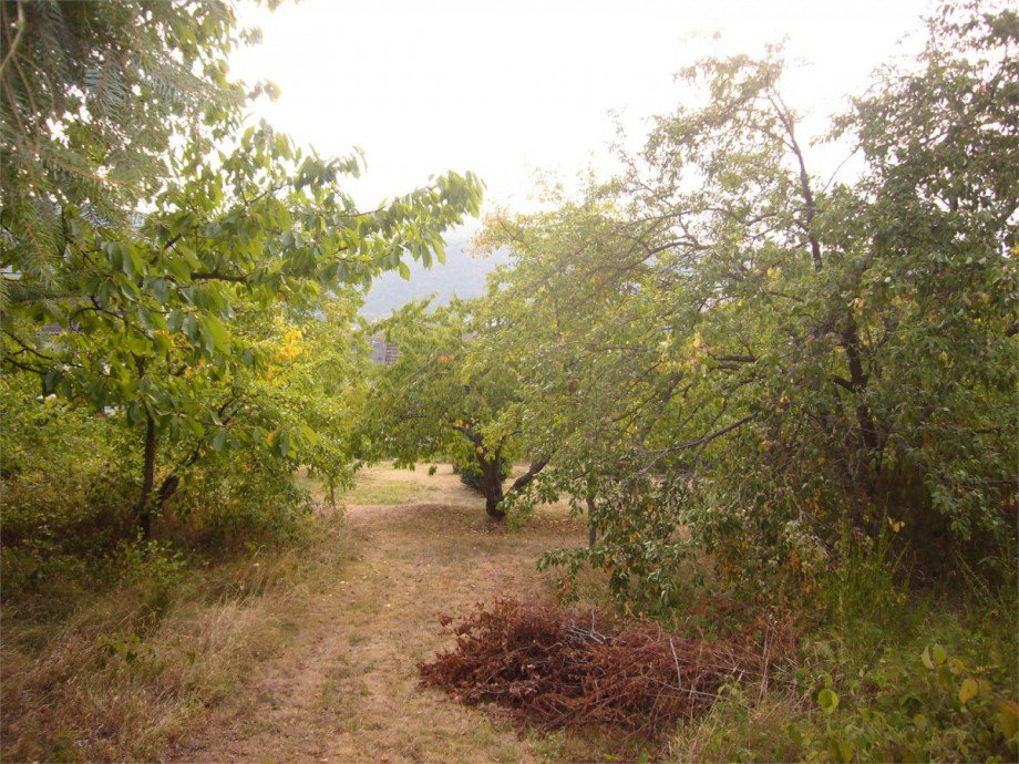 015 Garten3 Einfamilienhaus Lahnstein