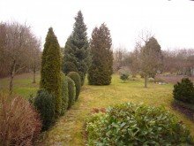 P1240934 Exklusives Einfamilienhaus mit gro�em Grundst�ck in Koblenz-Arenberg