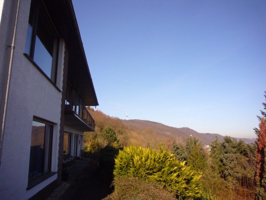 P1230282 Ausblick2 Einfamilienhaus Rhens