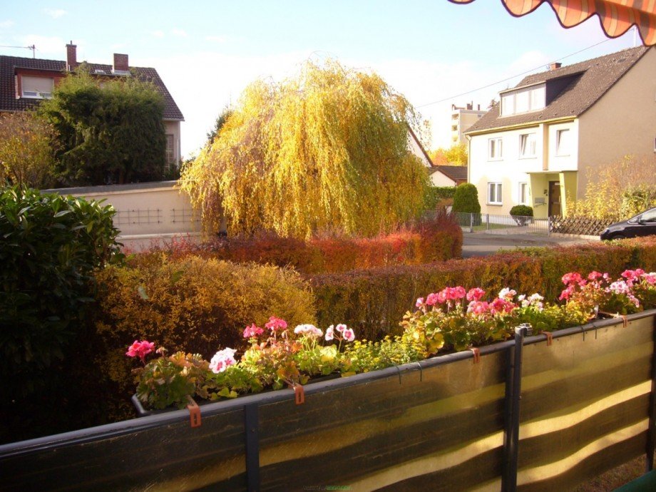077 Balkon EG Wohn- / Gesch�ftshaus Bendorf