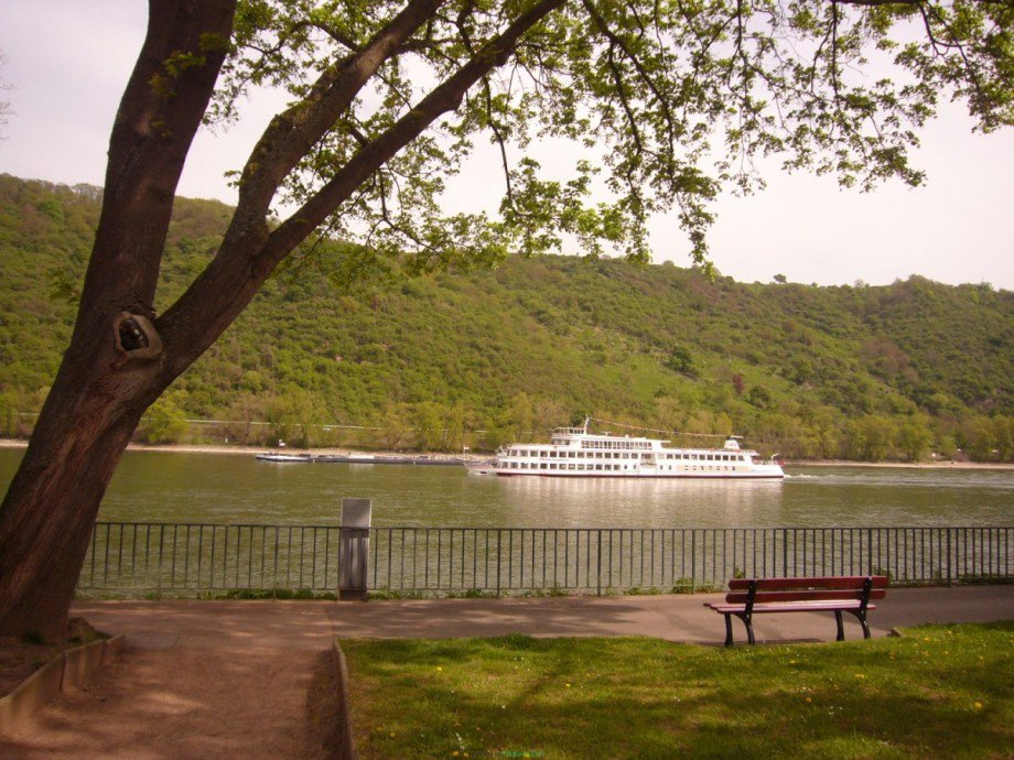 Umgebung Einfamilienhaus Boppard