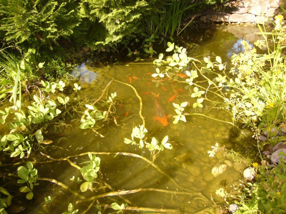 059 Garten4 Etagenwohnung Koblenz